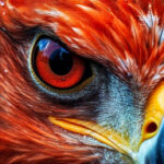 Profilbild von Black Hawk